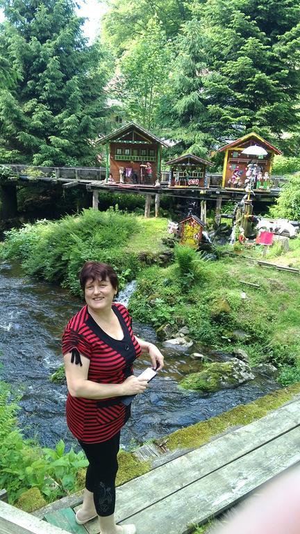 סנקט אנגלמר Landgasthof Zum Hirschenstein, Pension Garni מראה חיצוני תמונה